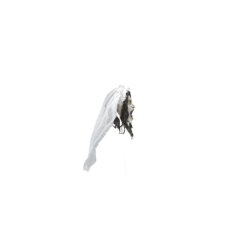 La Llorona Deluxe