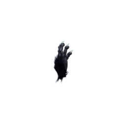 Manos de Wolf deluxe black