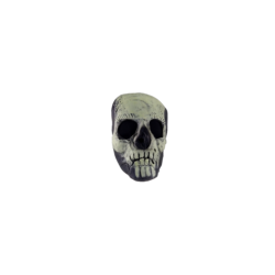Glow in the Dark Skull