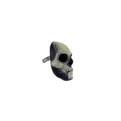 Glow in the Dark Skull