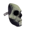 Glow in the Dark Skull