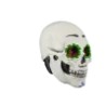 Máscara de Catrin Skull