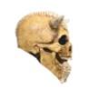 Máscara de Demon Skull