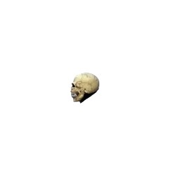 Máscara de Junior Skull