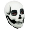 Máscara de Makeup skull