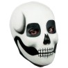 Máscara de Makeup skull