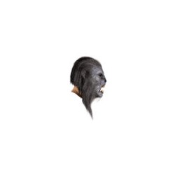 Máscara de Gray wolfman