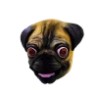 Máscara de Pug