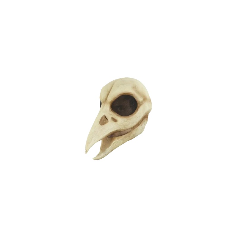 Máscara de Raven Skull