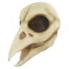 Máscara de Raven Skull