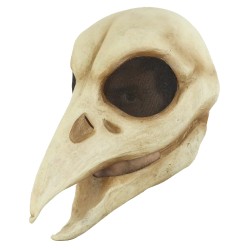 Máscara de Raven Skull