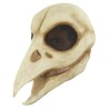 Máscara de Raven Skull