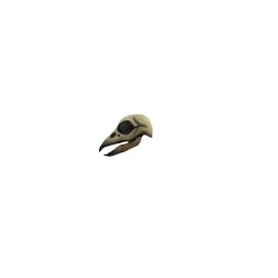 Máscara de Raven Skull