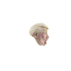 Máscara de Trump With Hair