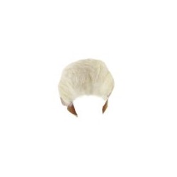 Máscara de Trump With Hair