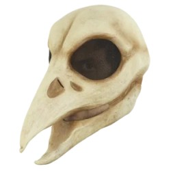 Máscara de Raven Skull