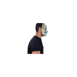 Neón artist