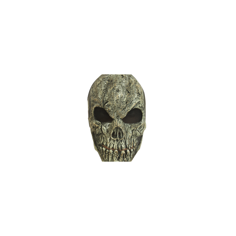Old Skull
