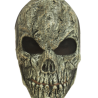 Old Skull