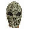 Old Skull