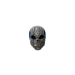Old Skull