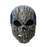 Old Skull