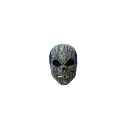 Old Skull
