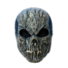 Old Skull