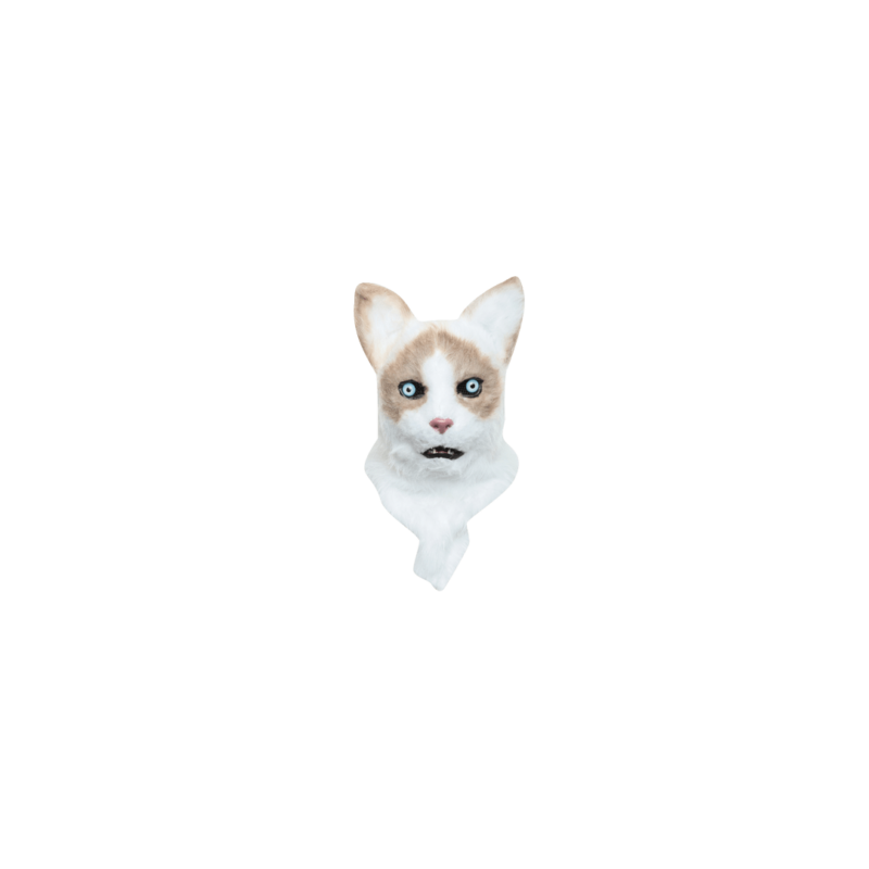 Ragdoll moving mouth