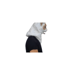 Ragdoll moving mouth