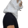 Ragdoll moving mouth