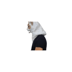 Ragdoll moving mouth