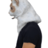 Ragdoll moving mouth