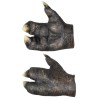 Manos de Krampen hoof