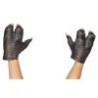 Manos de Krampen hoof