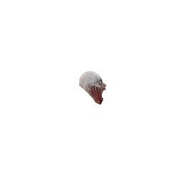 Máscara de The shy guy
