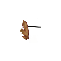 Serial Killer (19)