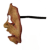 Serial Killer (19)