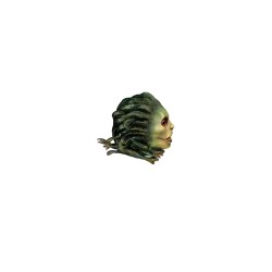 Máscara de Medusa