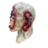 Pulsing Zombie Star Brains