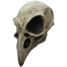 Máscara de Crow Skull