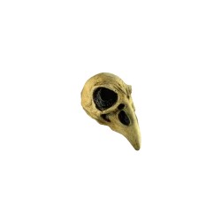 Máscara de Crow Skull
