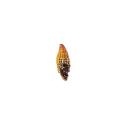 Máscara de Evil Corn