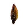 Máscara de Evil Corn