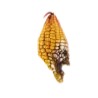 Máscara de Evil Corn
