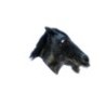 Máscara de Black Horse