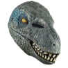 Máscara de Raptor