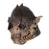 Máscara de Warrior orc