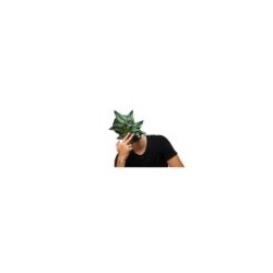 Máscara de Weed