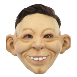 Dude Face Mask